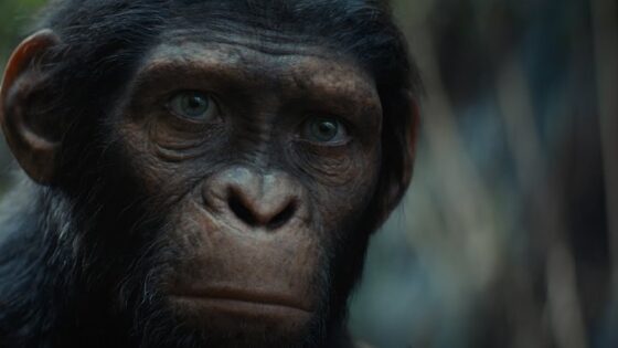 Watch the trailer for Kingdom of the Planet of the Apes